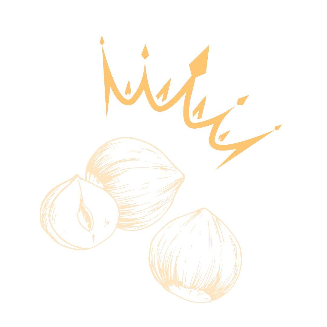 Logo Noid'Or